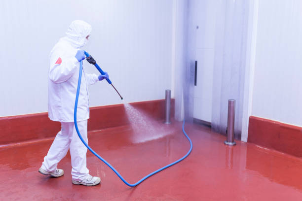 Best Driveway Pressure Washing  in Zeeland, MI